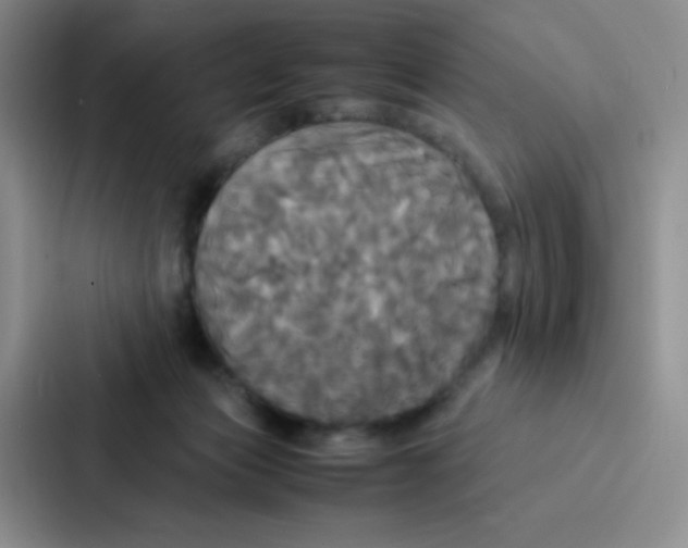 X0000086920173200705141729