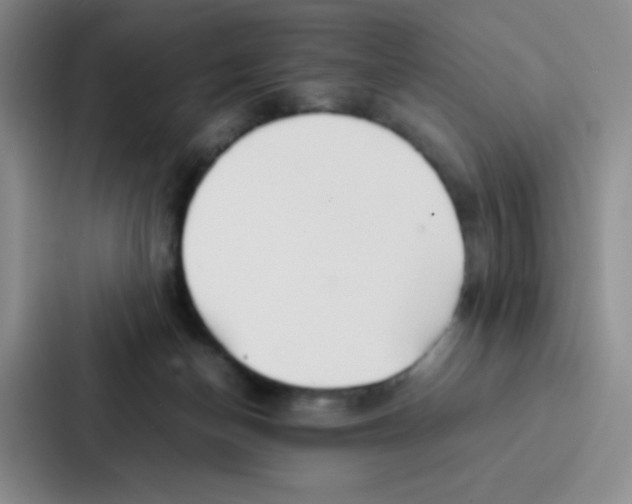 X0000086920174200705141729