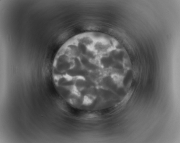 X0000086920175200705141729