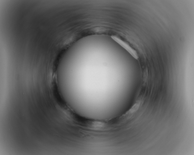 X0000086920176200705141729