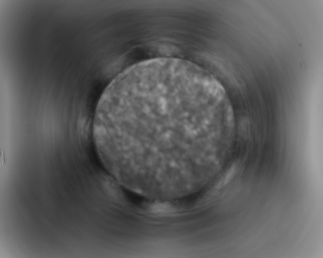 X0000086920177200705141729