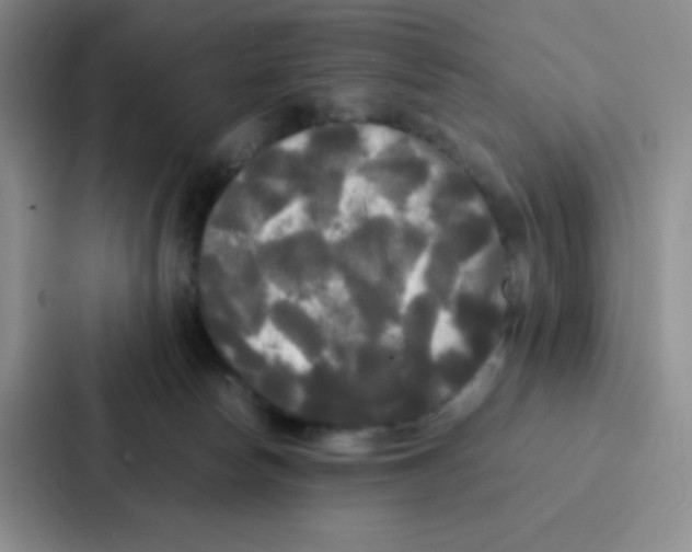X0000086920178200705141729
