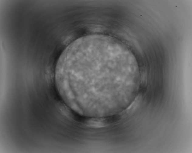X0000086920179200705141729