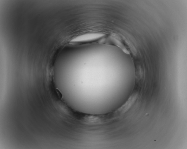 X0000086920180200705141729