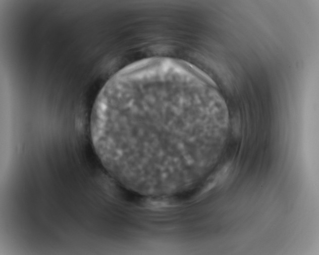 X0000086920181200705141729