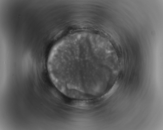 X0000086920182200705141729