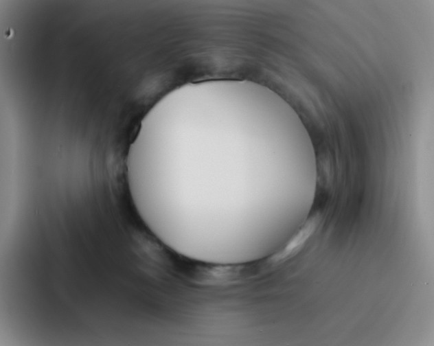 X0000086920184200705141730