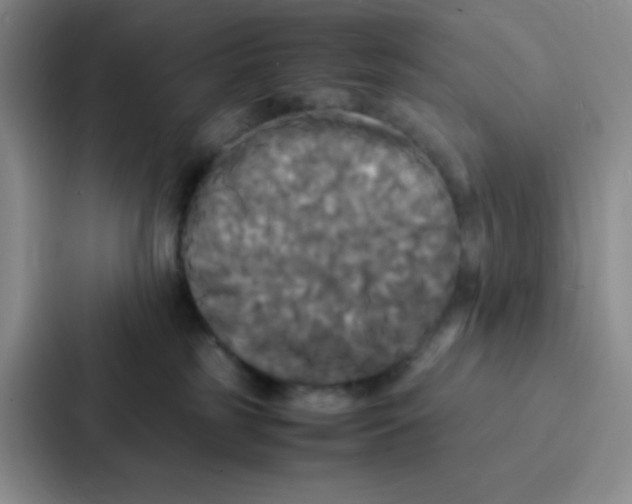 X0000086920185200705141730