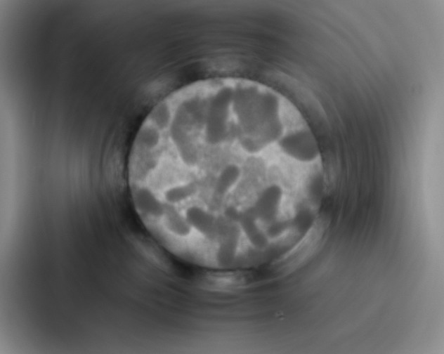 X0000086920187200705141730