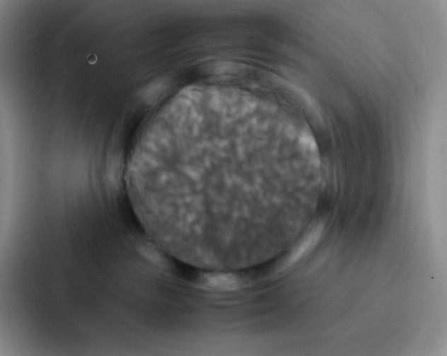 X0000086920189200705141730