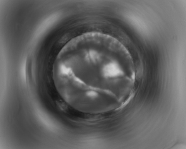 X0000086920191200705141730