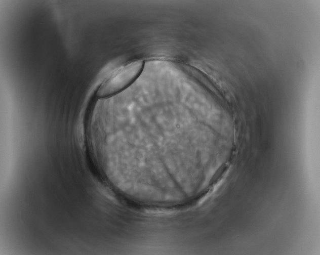 X0000086920198200705141729