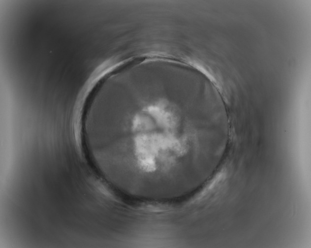 X0000086920199200705141729