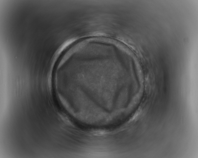 X0000086920200200705141729