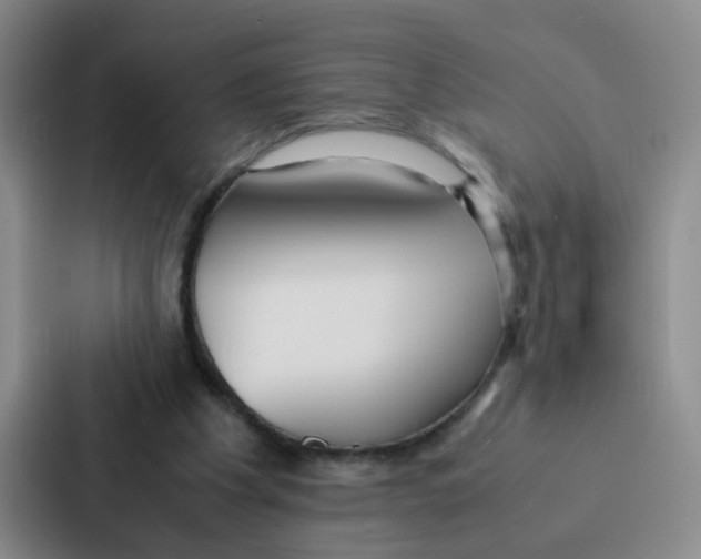 X0000086920201200705141729
