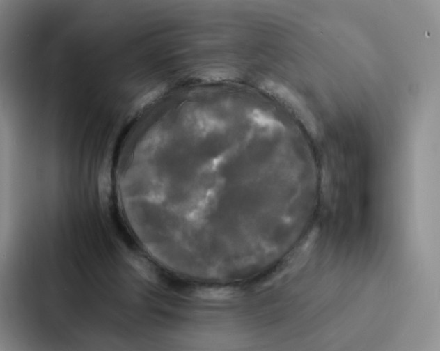 X0000086920202200705141729