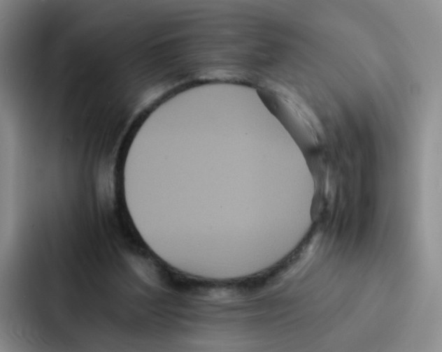 X0000086920204200705141729