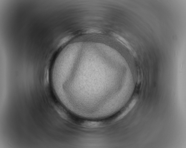 X0000086920205200705141729