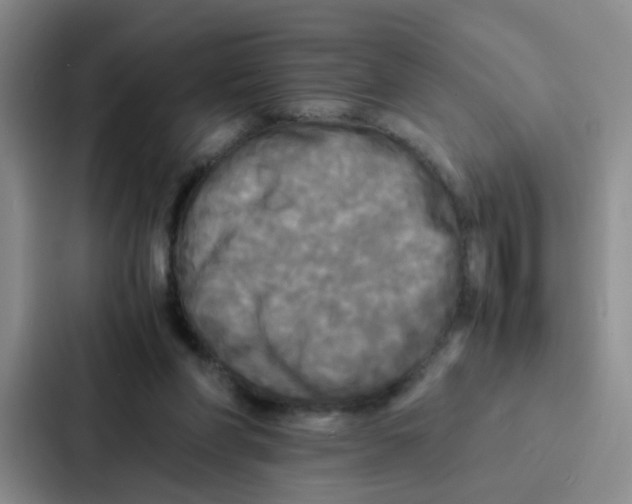 X0000086920206200705141729