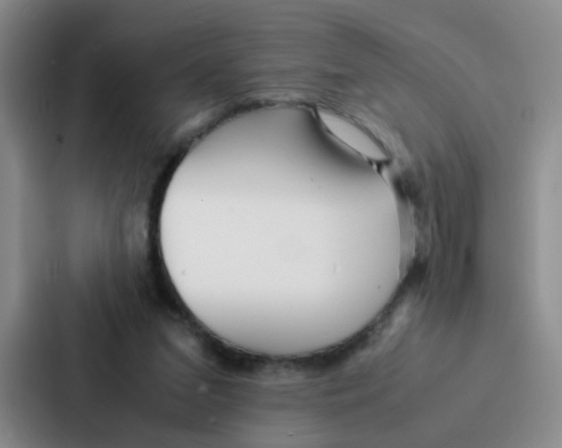 X0000086920207200705141729