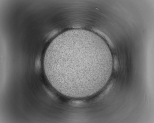 X0000086920208200705141729