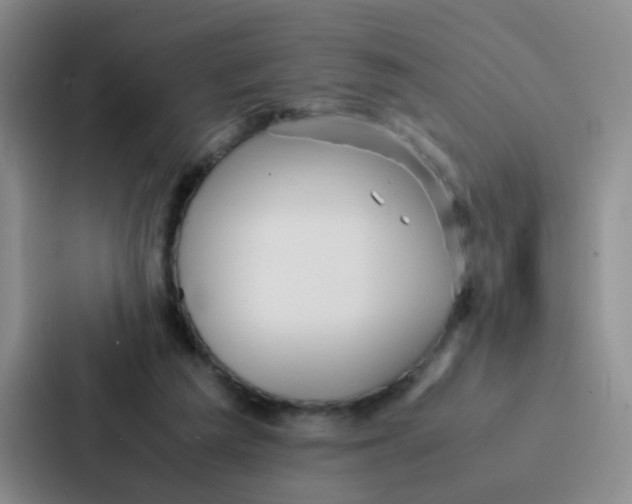 X0000086920209200705141729