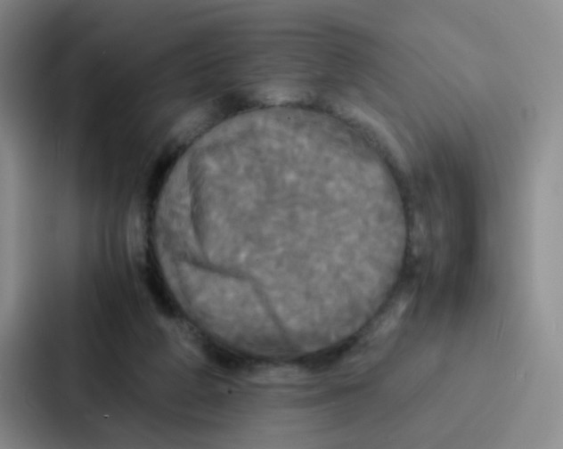 X0000086920210200705141729
