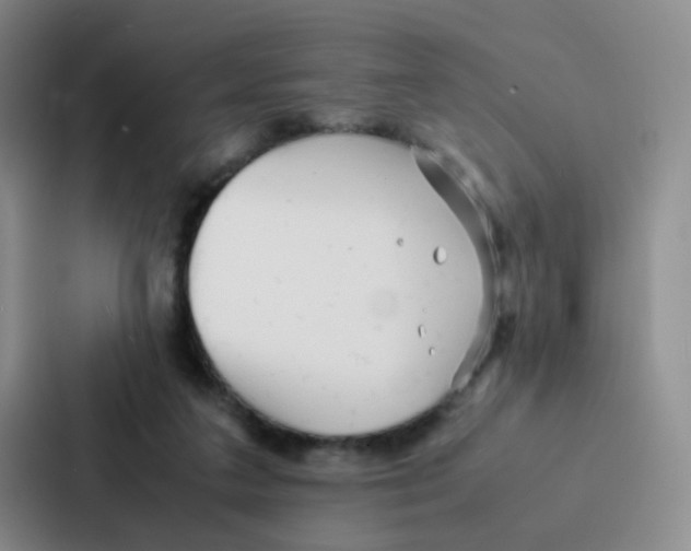 X0000086920211200705141729