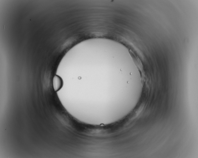 X0000086920212200705141729