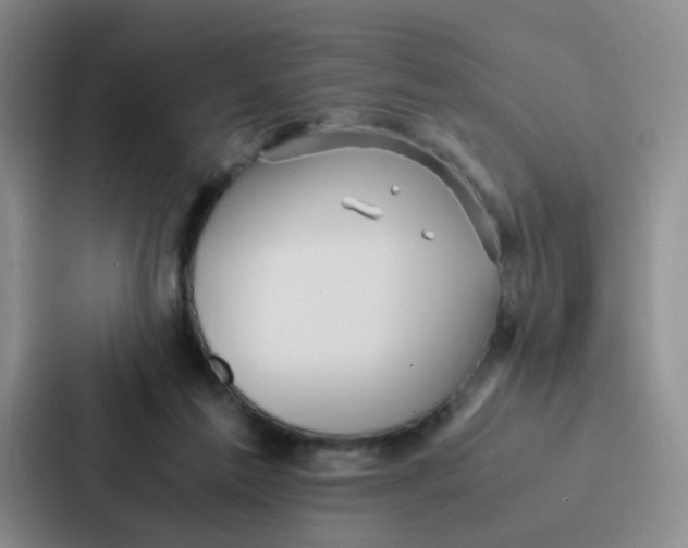 X0000086920213200705141729