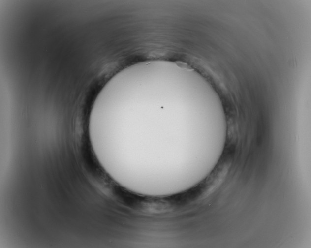 X0000086920215200705141729