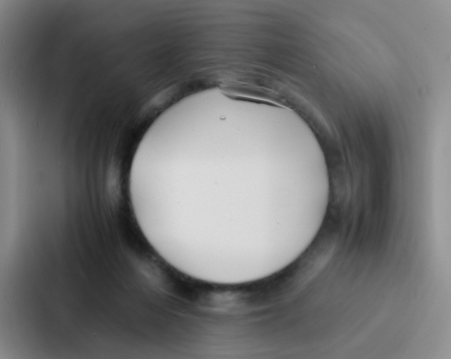 X0000086920216200705141729