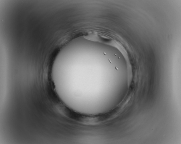 X0000086920217200705141729