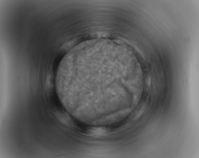 X0000086920218200705141729