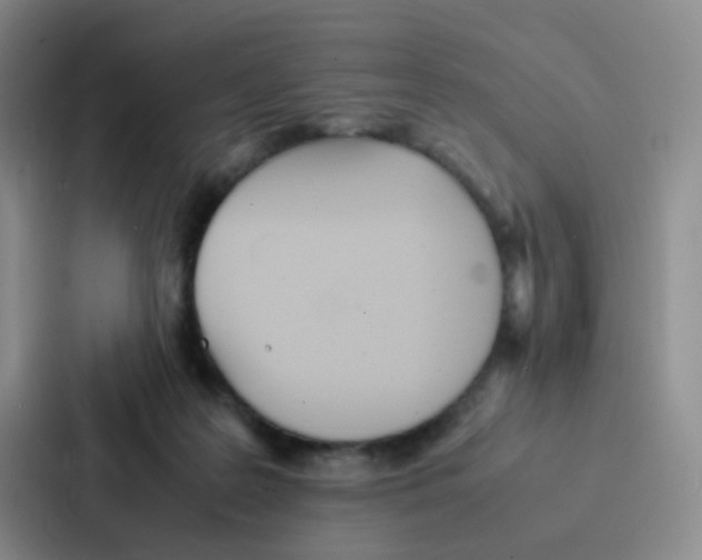 X0000086920219200705141729