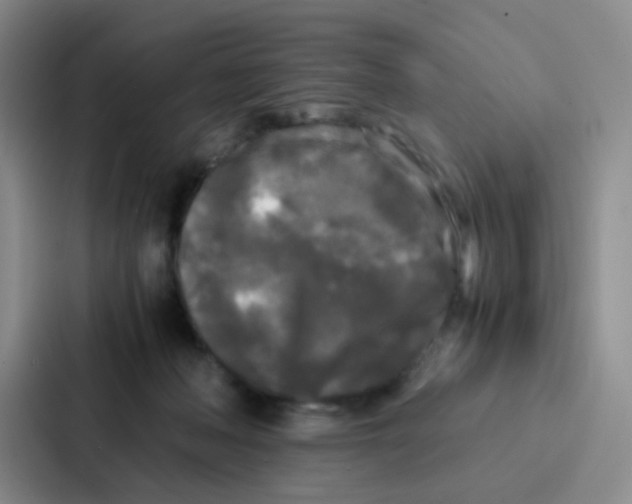 X0000086920222200705141729