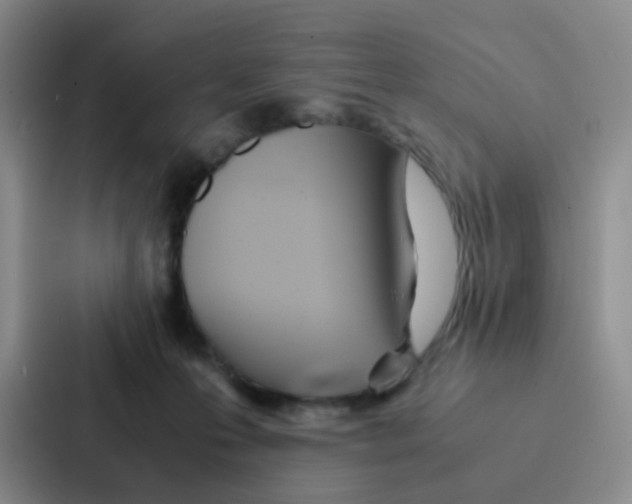 X0000086920223200705141729