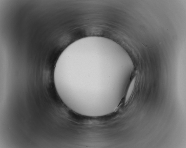 X0000086920224200705141729
