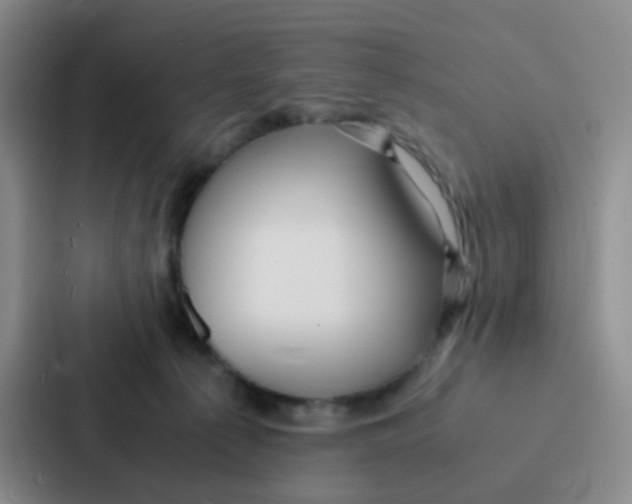 X0000086920225200705141729