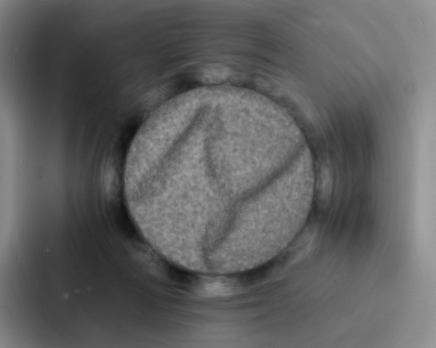 X0000086920226200705141729