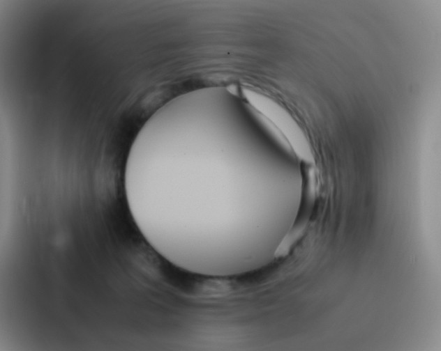 X0000086920227200705141729