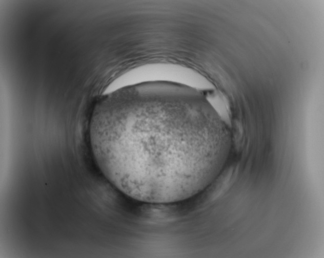 X0000086920229200705141729