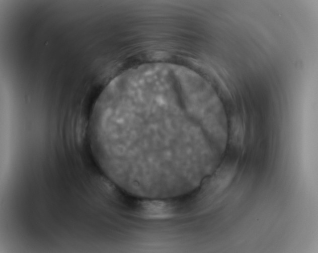 X0000086920230200705141729