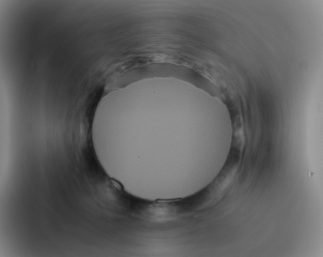 X0000086920231200705141729