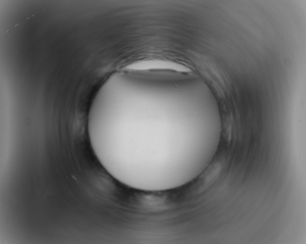 X0000086920232200705141728