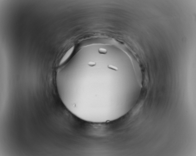 X0000086920233200705141728