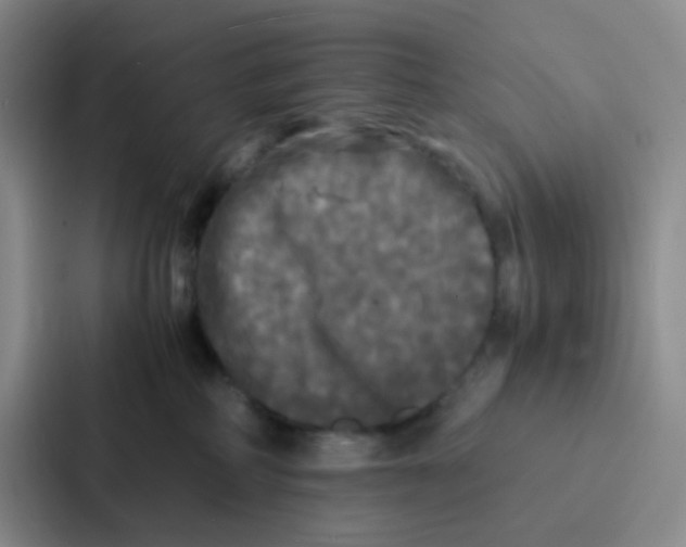 X0000086920234200705141728