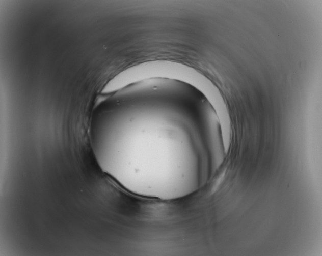 X0000086920237200705141728