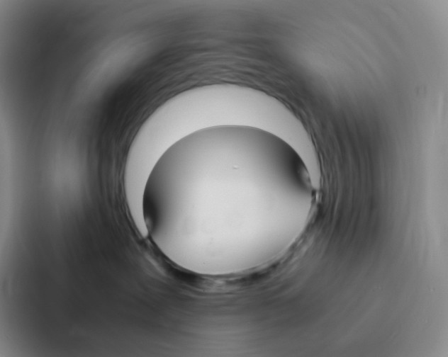 X0000086920239200705141728