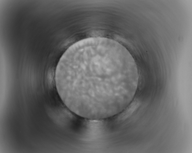 X0000086920240200705141728